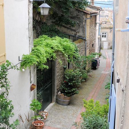 Maison Rives - Village Du Livre De Montolieu Zewnętrze zdjęcie